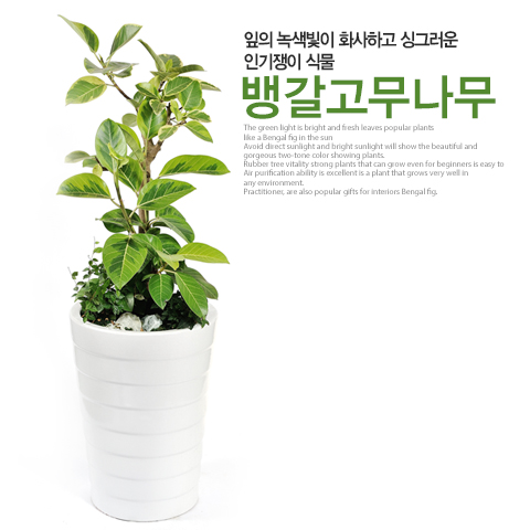 주상품이미지