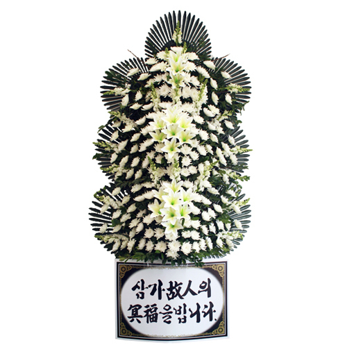 주상품이미지
