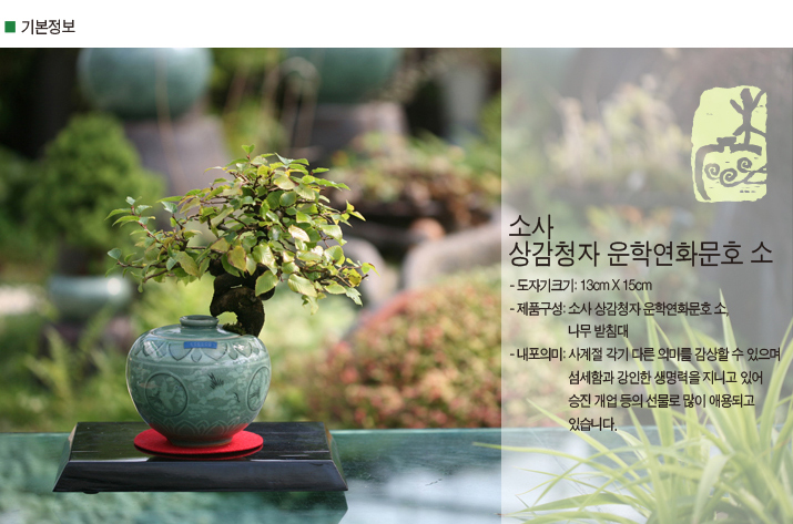 설명이미지