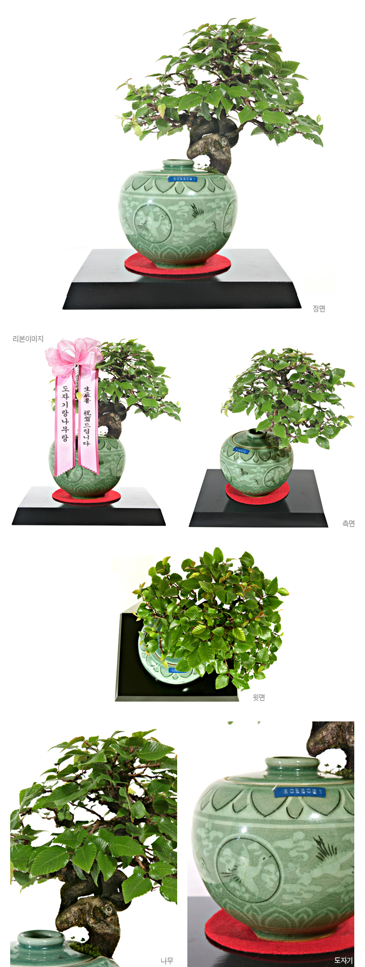설명이미지