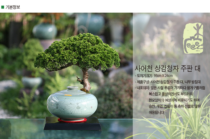 설명이미지