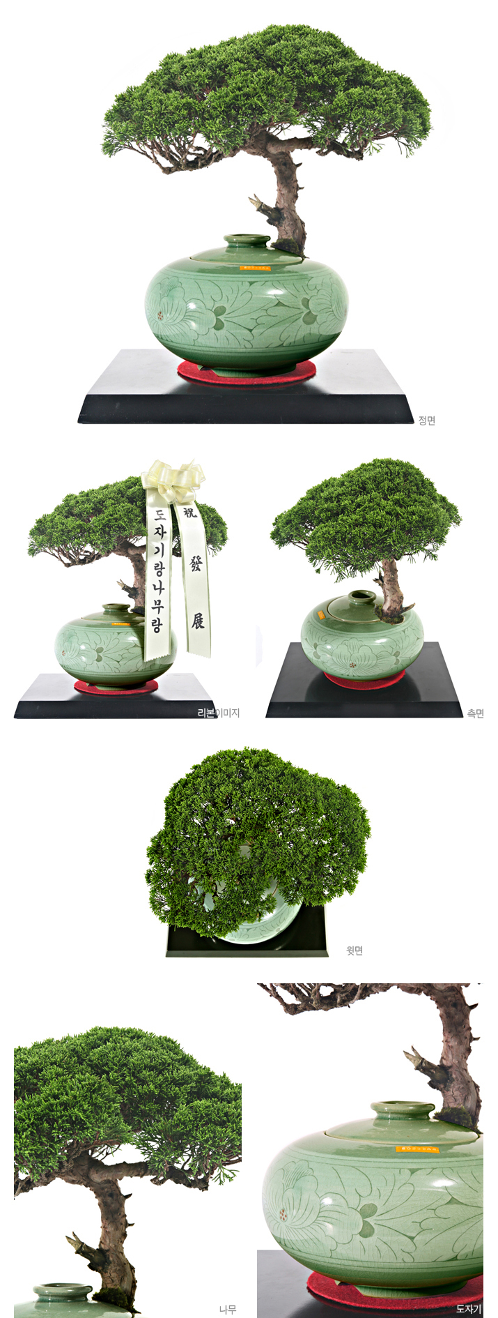 설명이미지