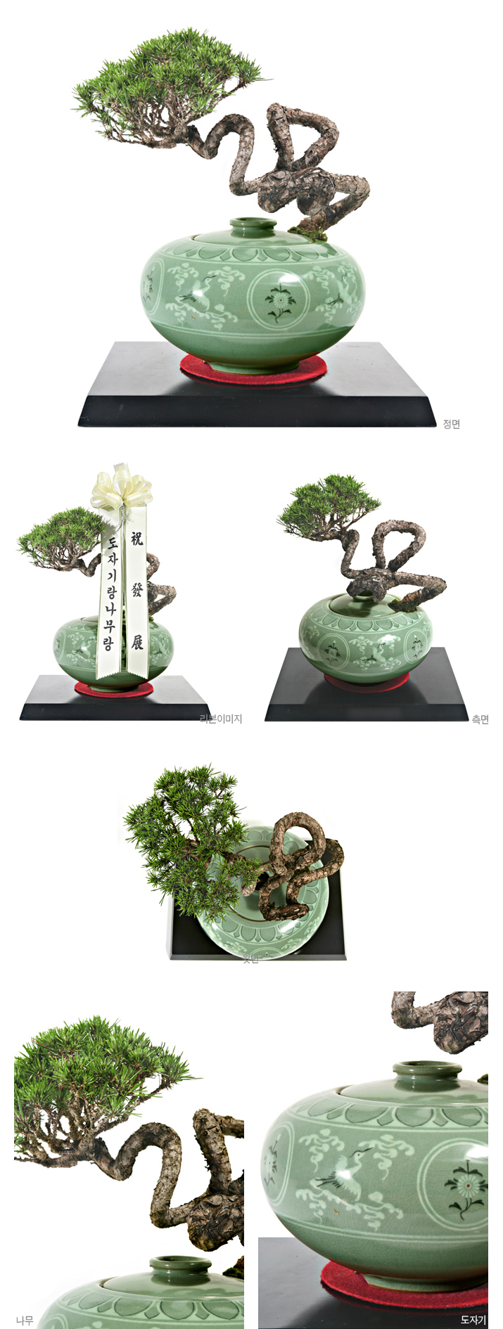 설명이미지