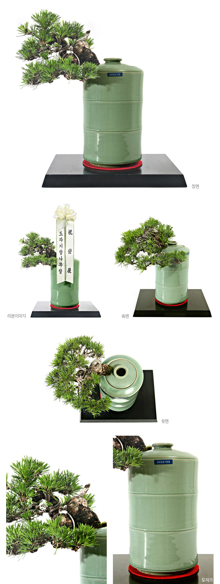 설명이미지