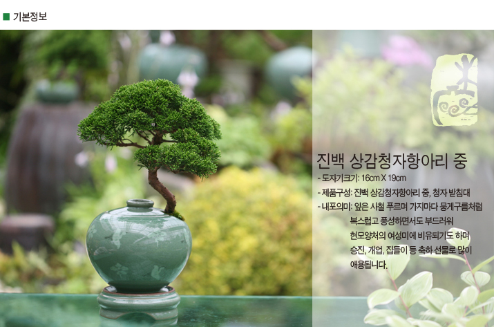 설명이미지