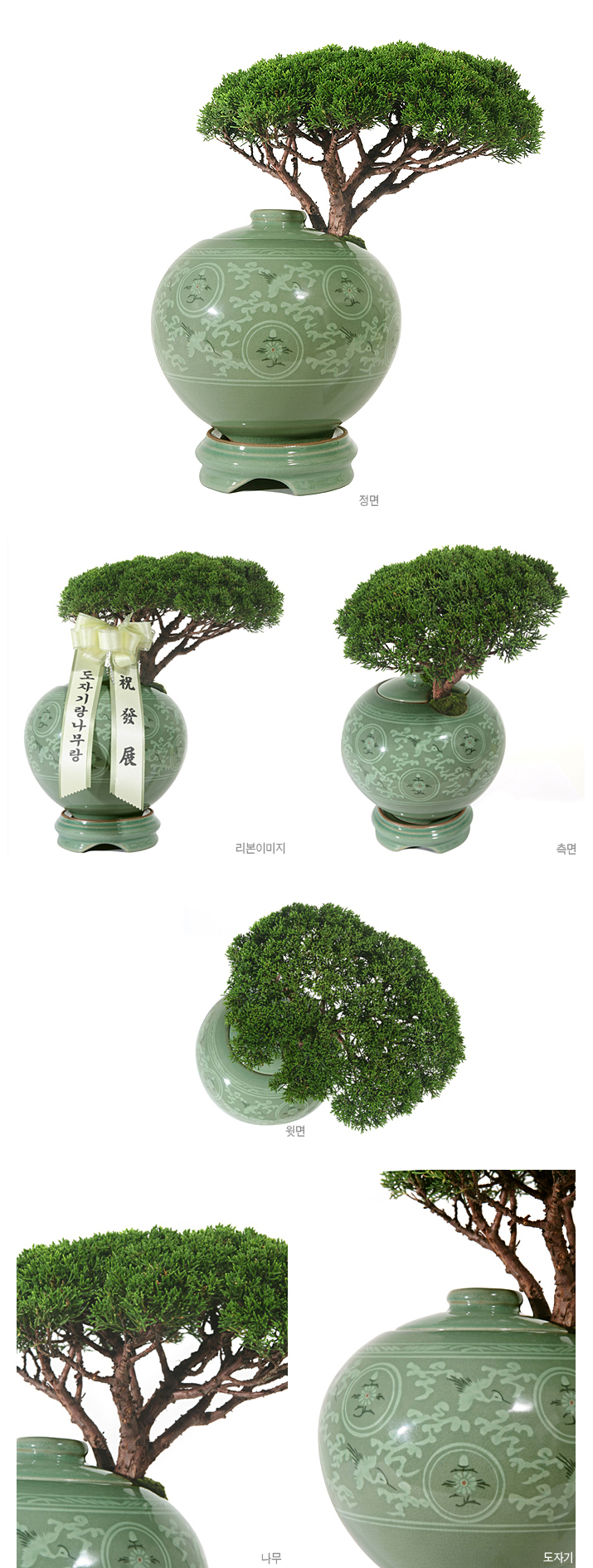 설명이미지