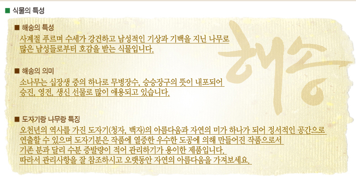 설명이미지
