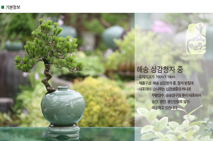 설명이미지