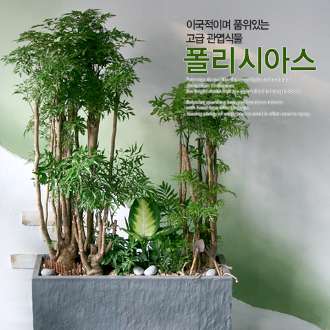 주상품이미지
