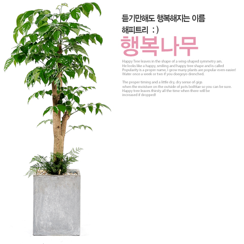 설명이미지