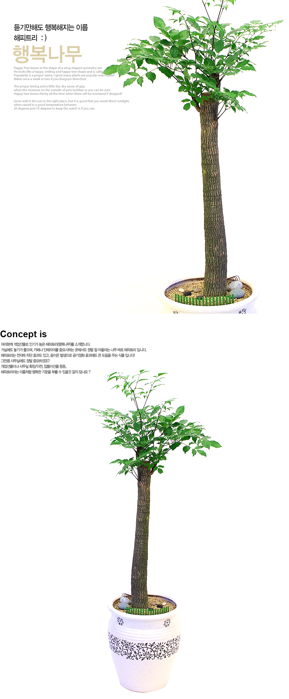 설명이미지