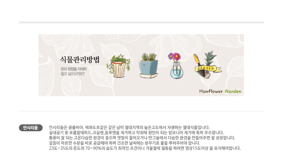 설명이미지