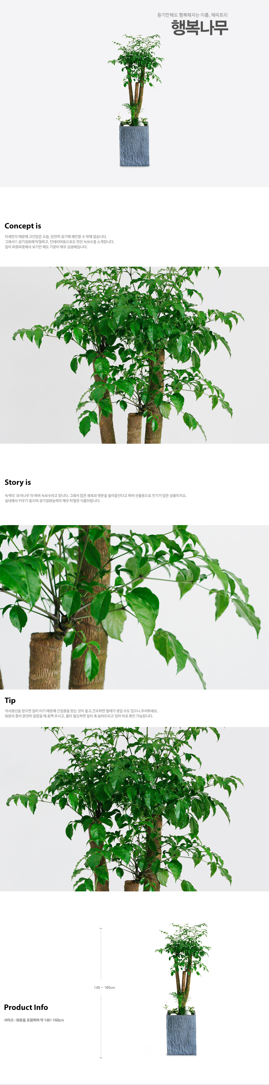 설명이미지
