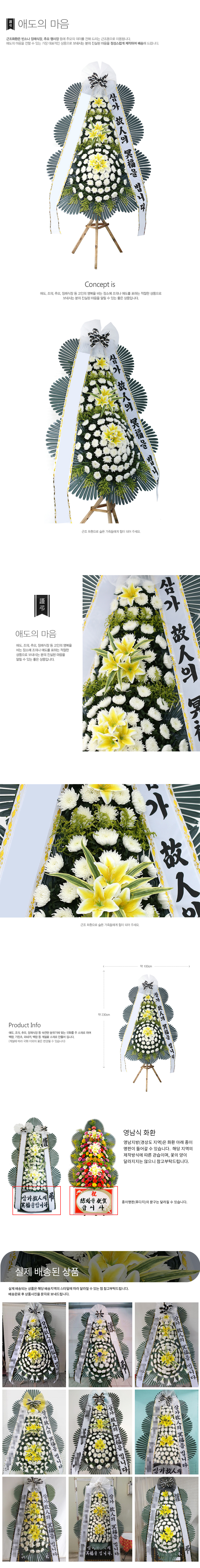 설명이미지
