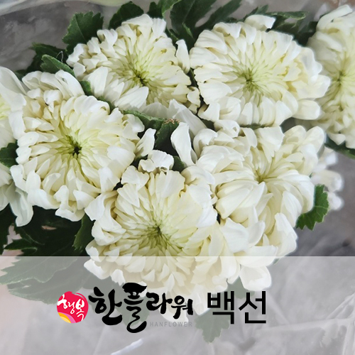 설명이미지
