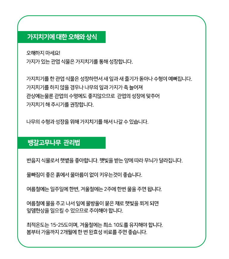설명이미지