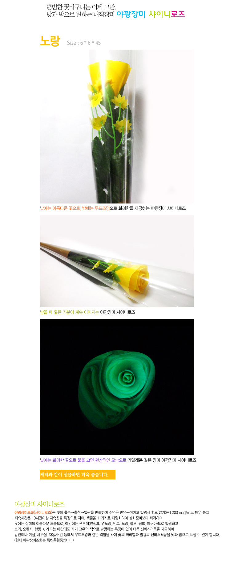 설명이미지