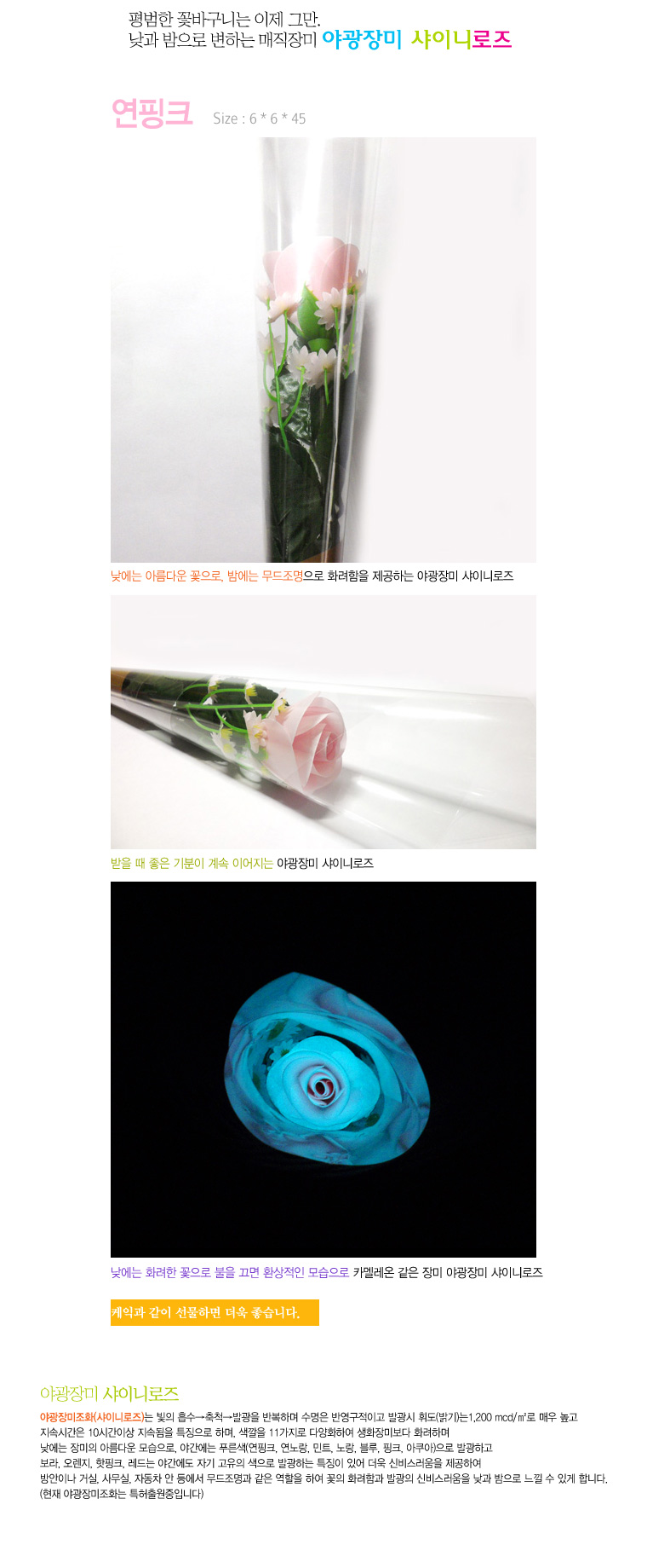 설명이미지