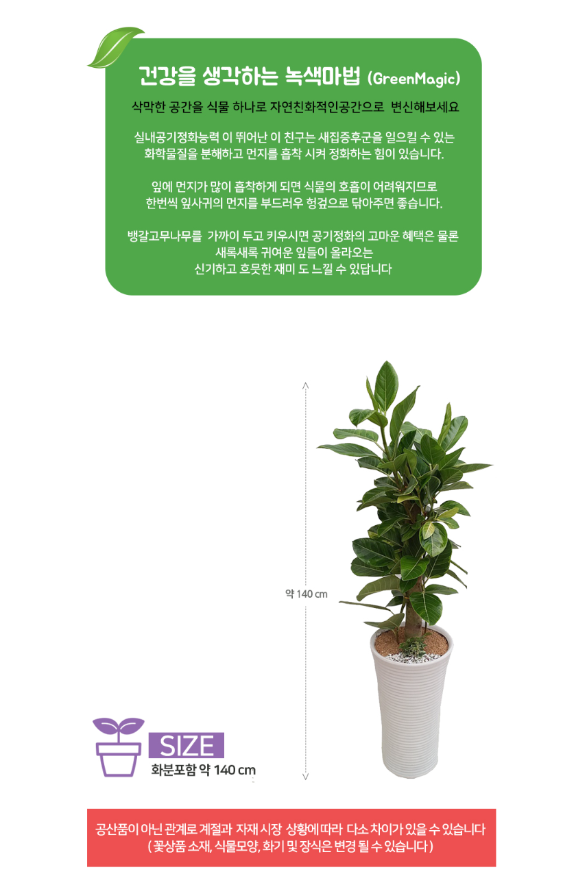 설명이미지