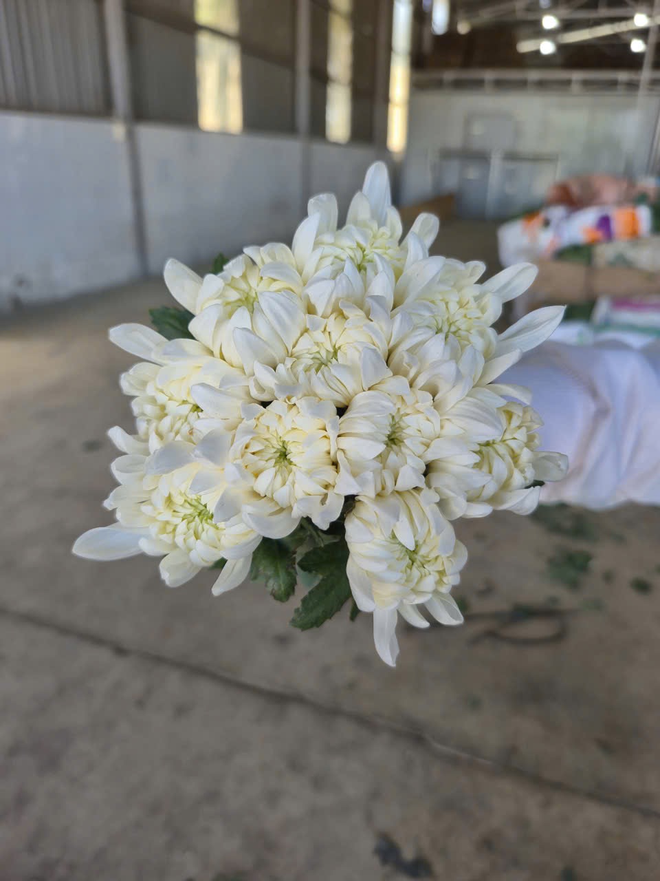 추천제품01