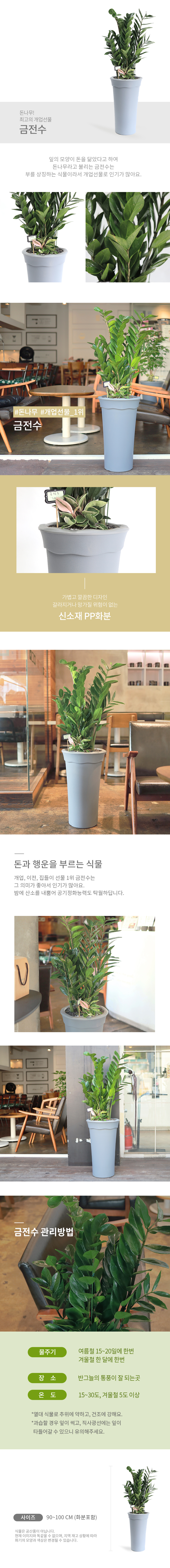 설명이미지