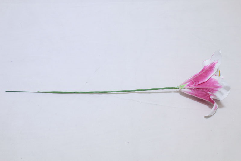 설명이미지
