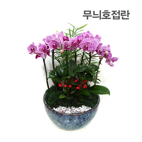 주상품이미지