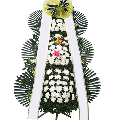 설명이미지