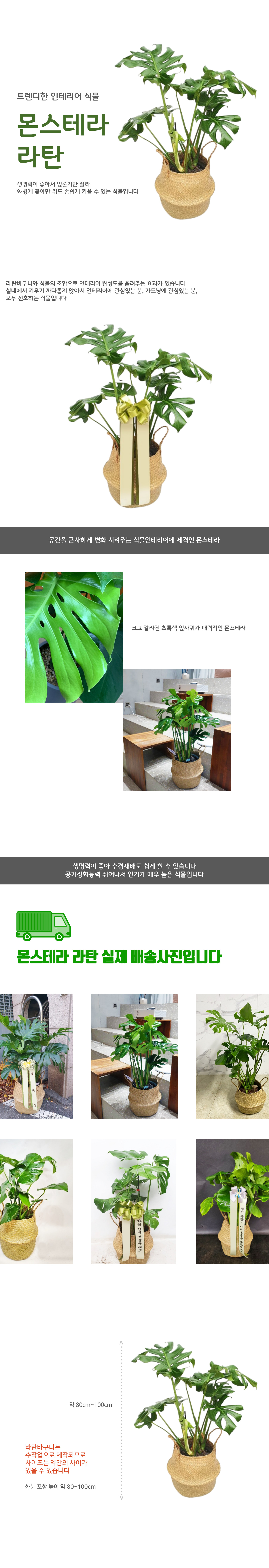 설명이미지