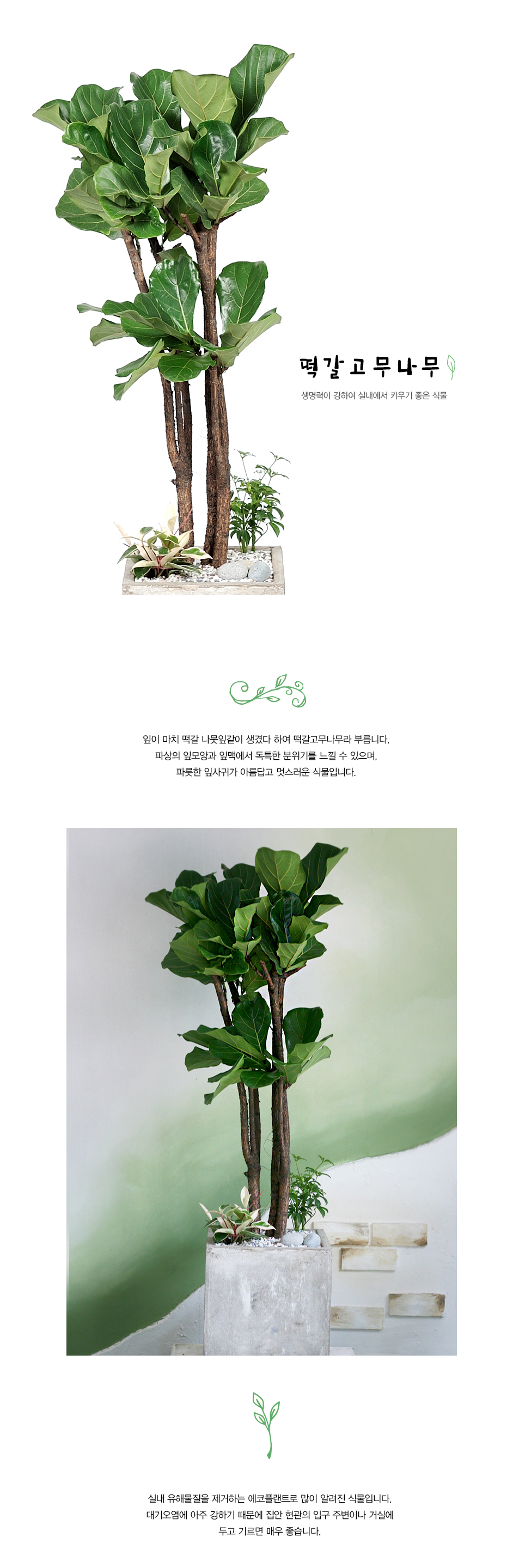 설명이미지