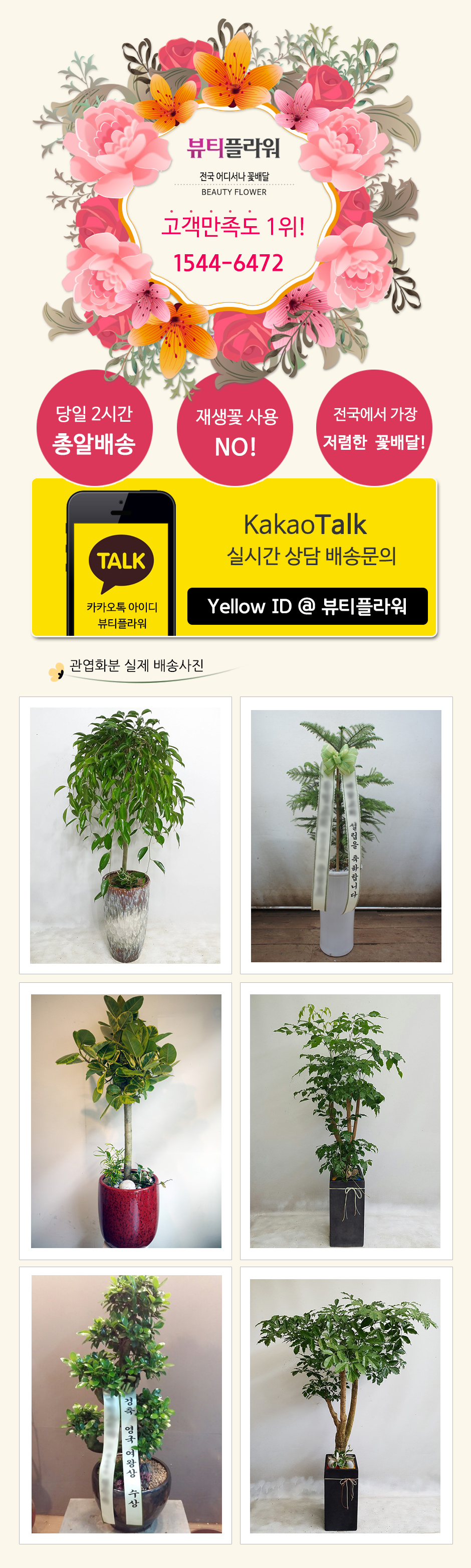 설명이미지