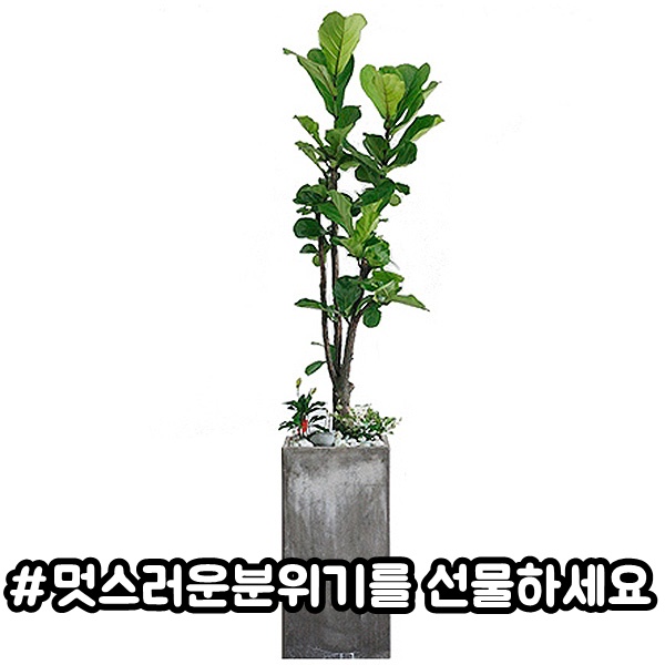 주상품이미지
