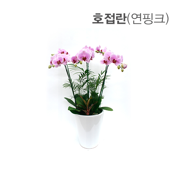 주상품이미지