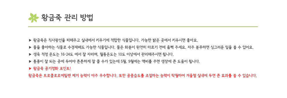 설명이미지