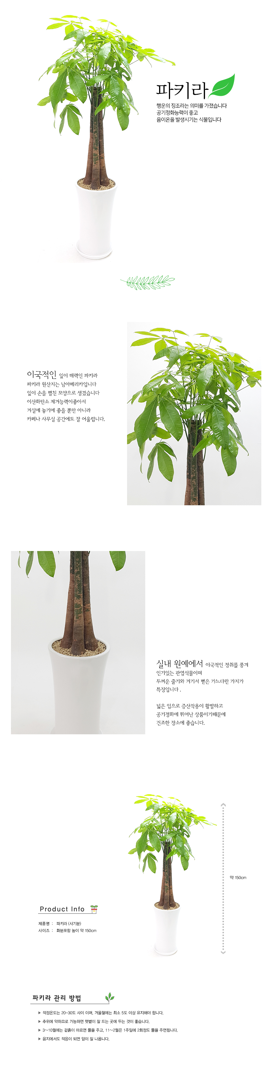 설명이미지
