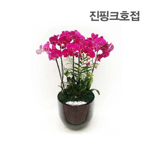 주상품이미지