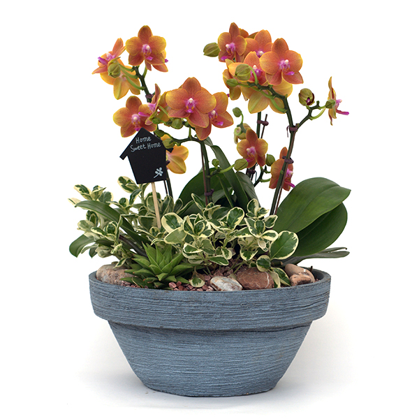 주상품이미지