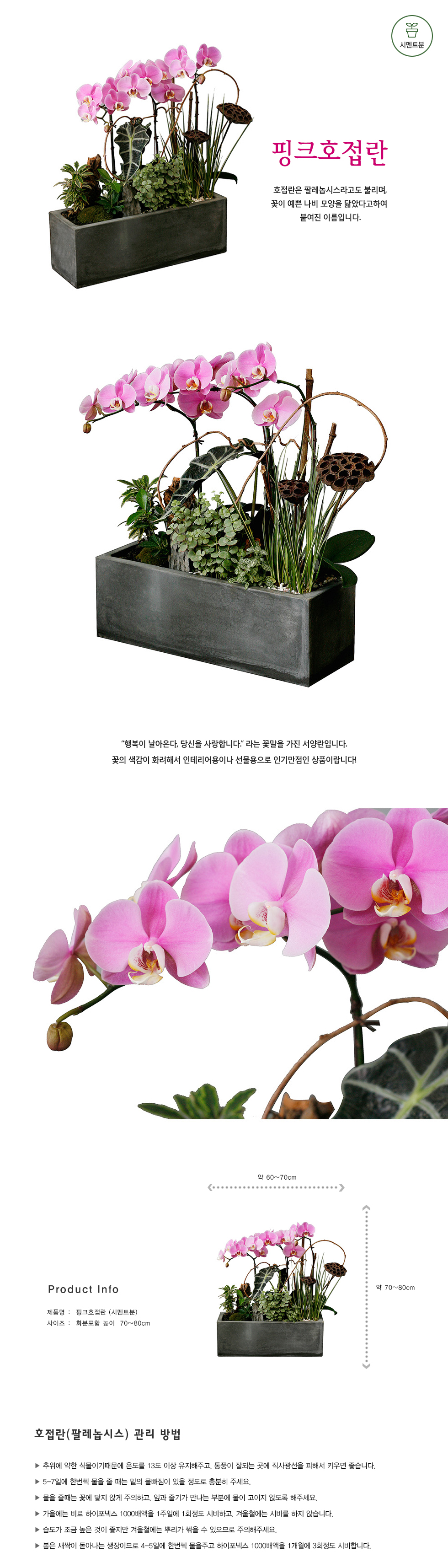 설명이미지