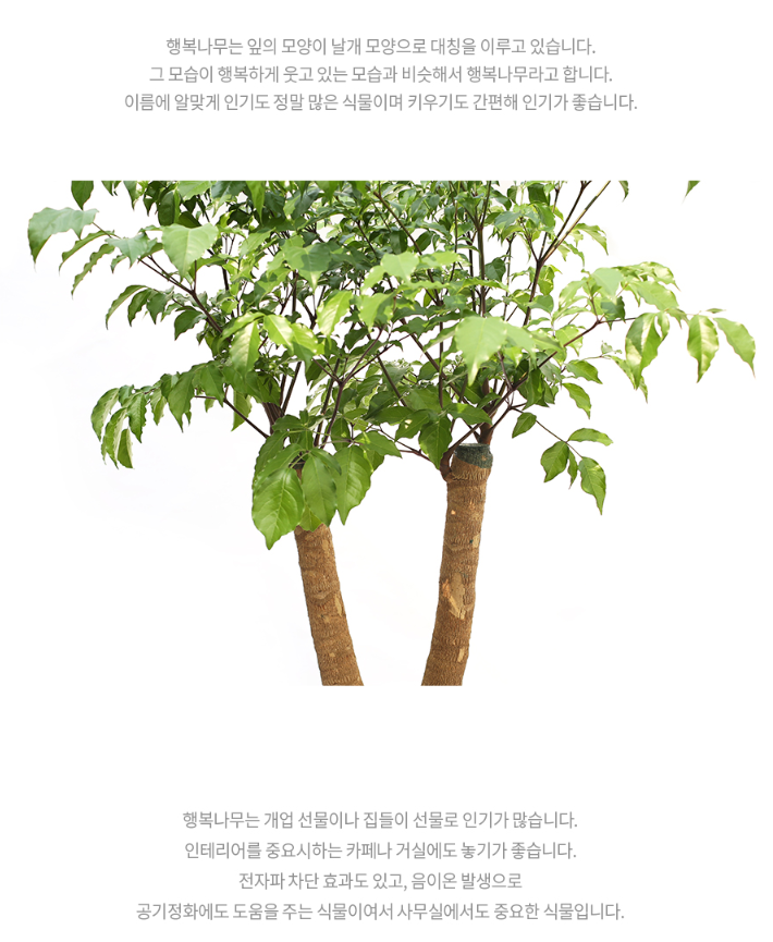 설명이미지