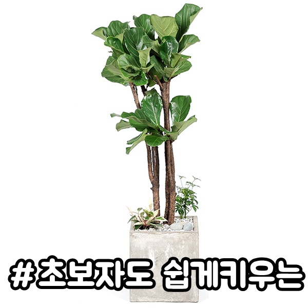 주상품이미지