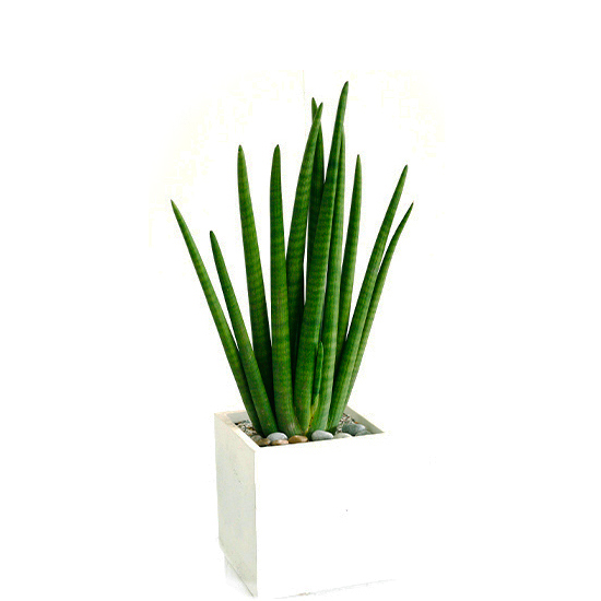 주상품이미지