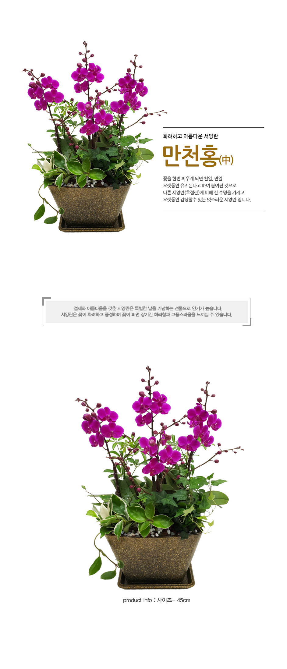 설명이미지