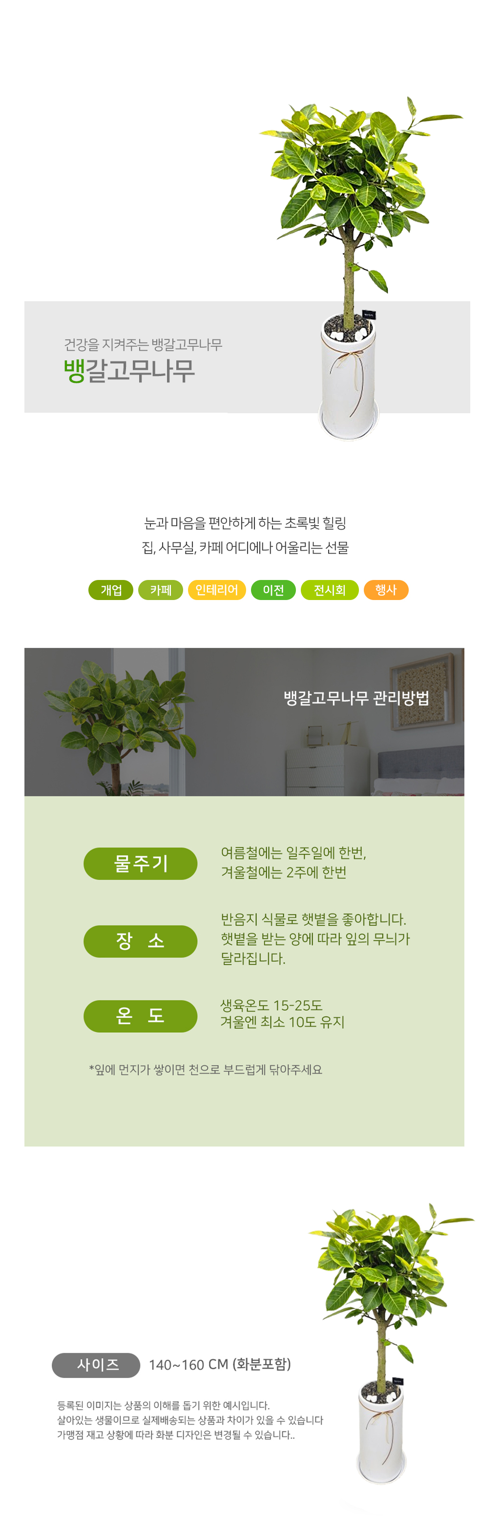 설명이미지