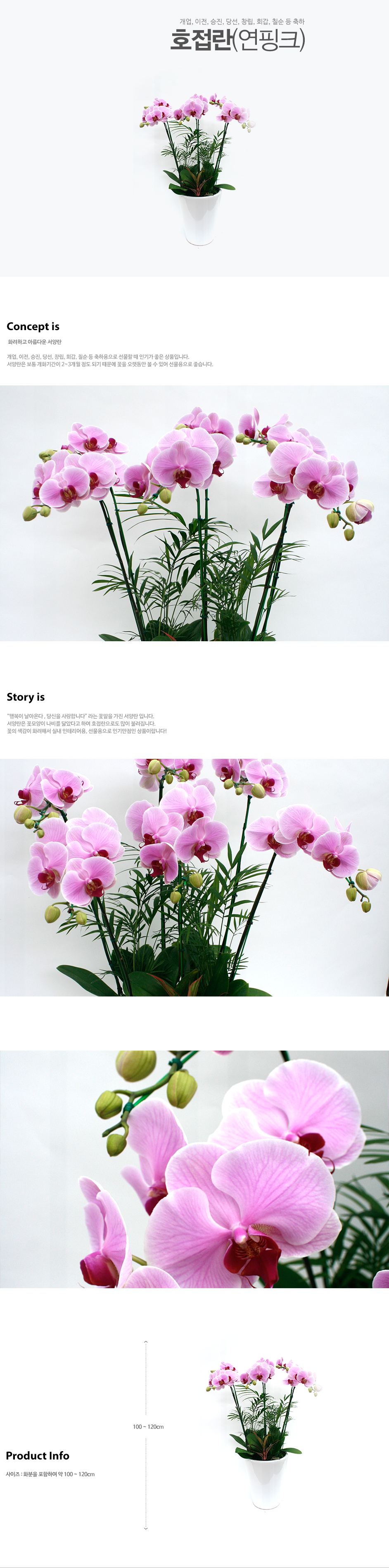 설명이미지