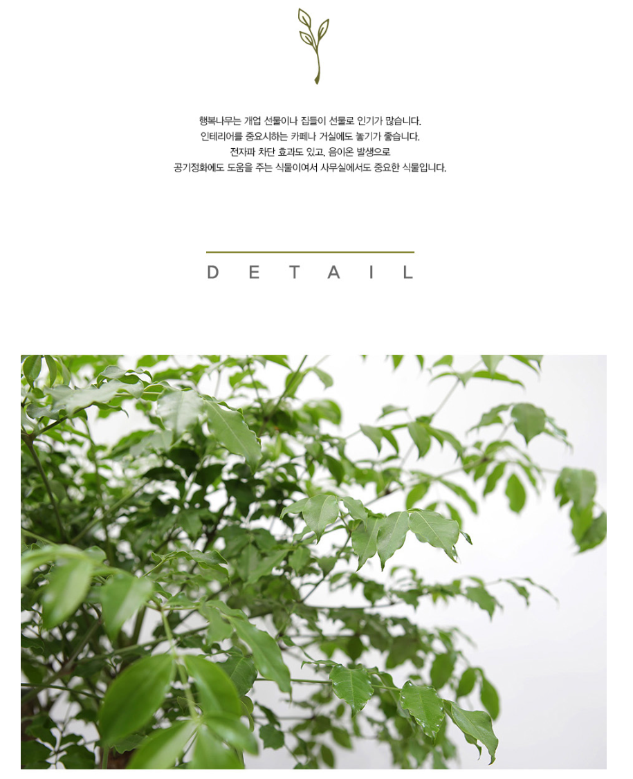 설명이미지
