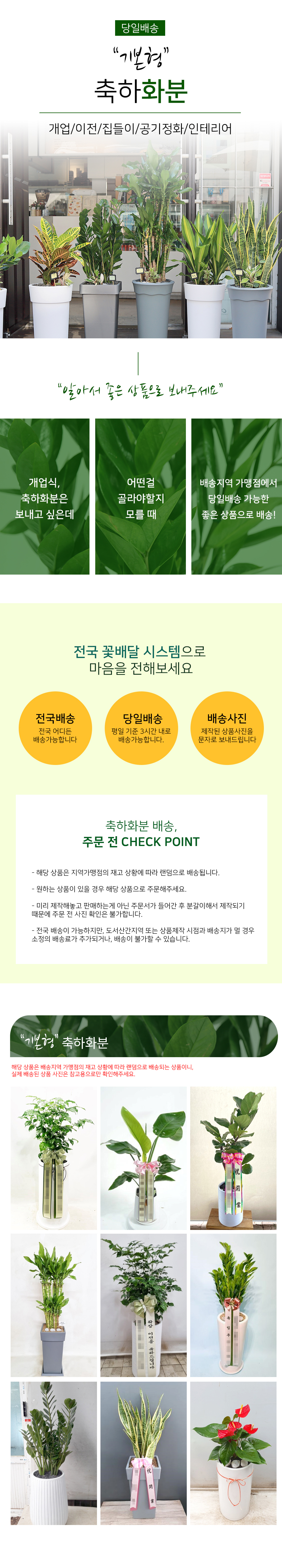 설명이미지