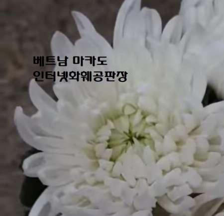 설명이미지
