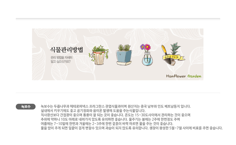 설명이미지