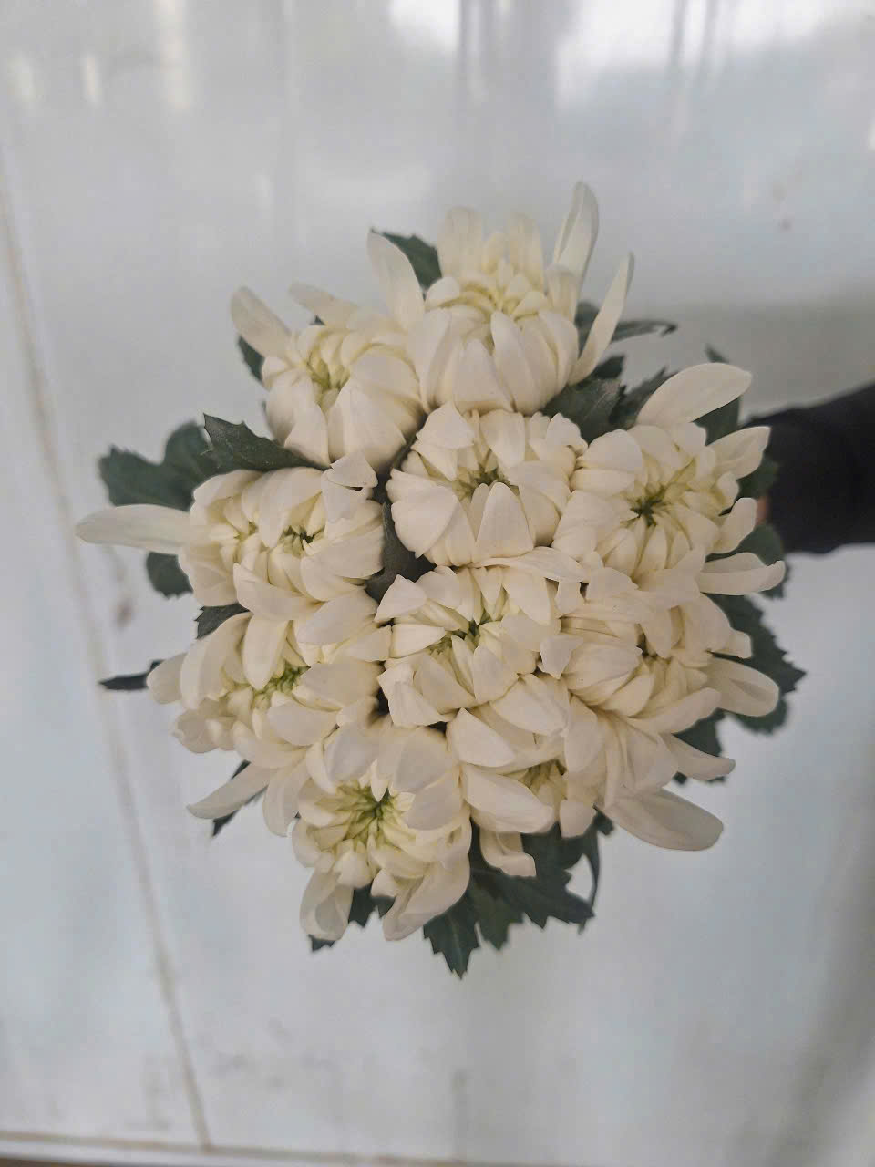 설명이미지