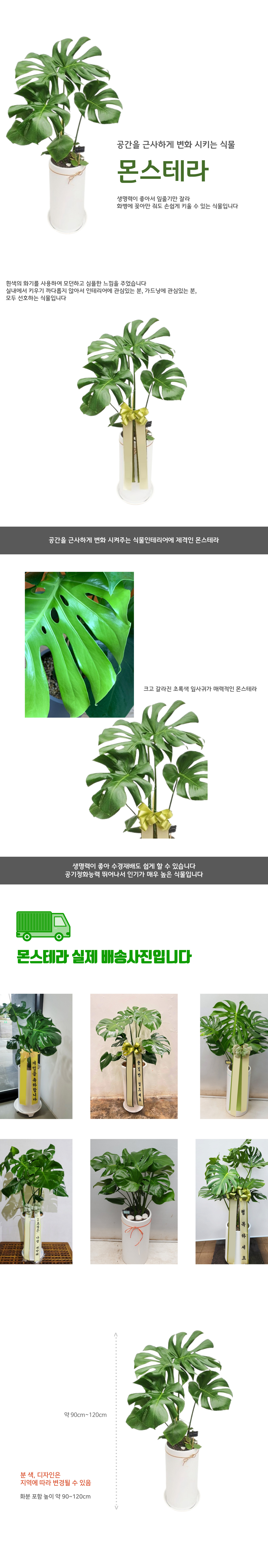 설명이미지